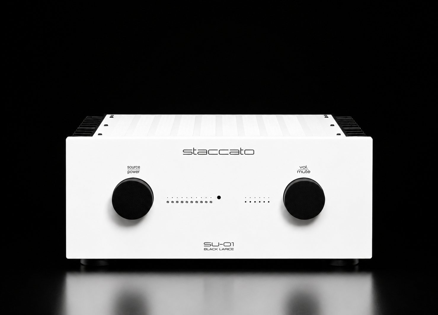 Staccato Black Unique Dual Mono Class A Amplifier by Staccato Audio