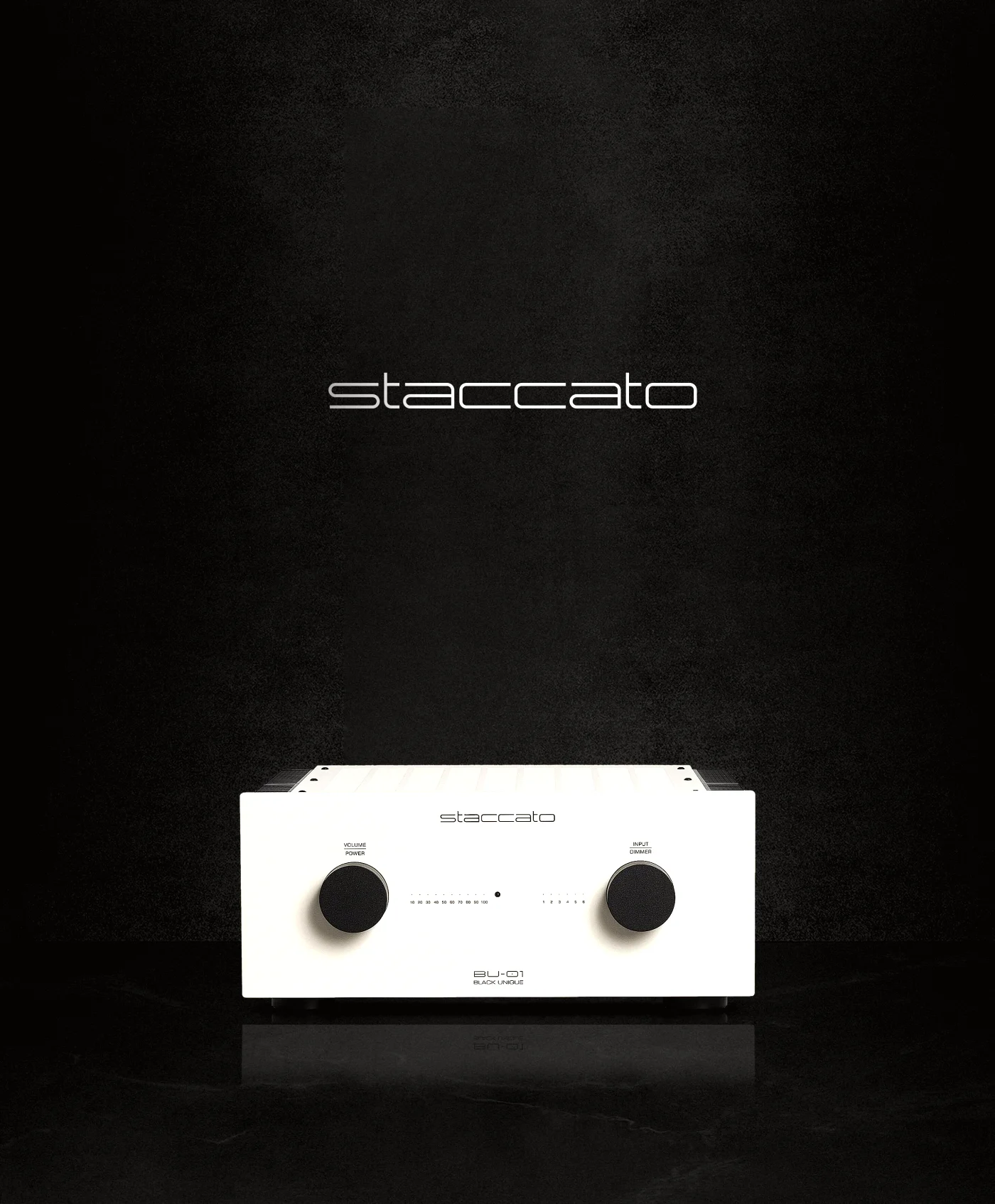 Staccato Black Unique Dual Mono Class A Amplifier by Staccato Audio